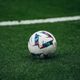 Mercato Ligue 2 : Les premières signatures arrivent doucement